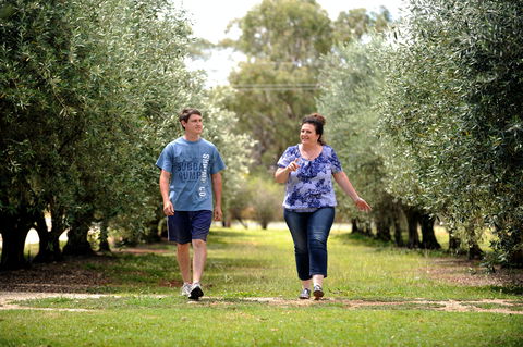 Olives Of Beaulieu - South Australia Travel 0