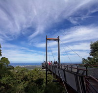Orara East State Forest - South Australia Travel