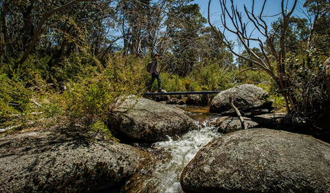 Pallaibo Walking Track - South Australia Travel 0