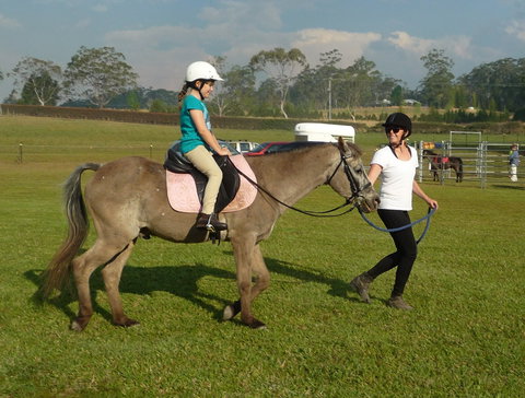 Port Macquarie Horse Riding Centre - South Australia Travel 1