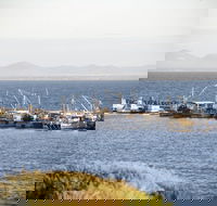 Portarlington - South Australia Travel