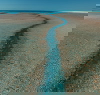 Rowley Shoals - South Australia Travel