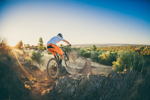 Shepherds Hill Recreation Park - South Australia Travel 0