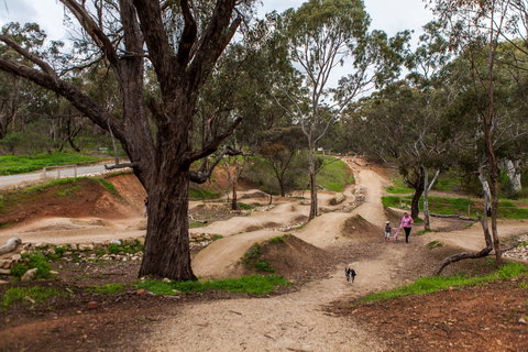 Shepherds Hill Recreation Park - South Australia Travel 2