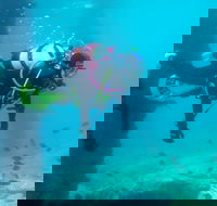 Shellharbour Scuba  and Photography Centre - South Australia Travel