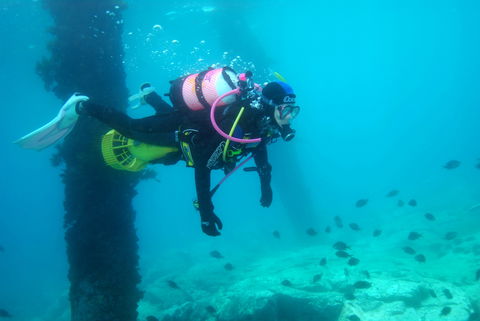 Shellharbour Scuba  And Photography Centre - South Australia Travel 0
