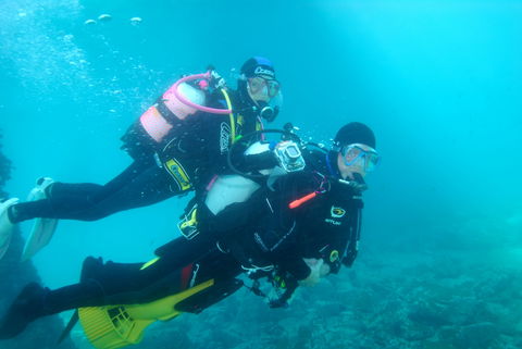 Shellharbour Scuba  And Photography Centre - South Australia Travel 1
