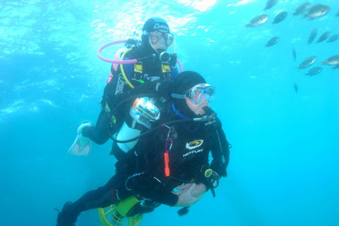 Shellharbour Scuba  And Photography Centre - South Australia Travel 2