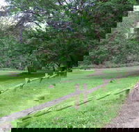 St Albans Reserve - South Australia Travel