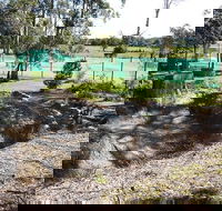 Tactical Paintball Games - South Australia Travel