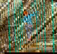 Trees Adventure Yeodene Park - South Australia Travel