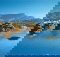 Wagonga Picnic Area - South Australia Travel