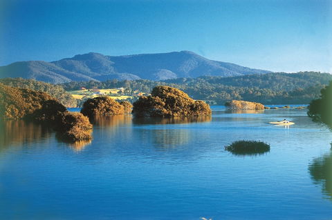 Wagonga Picnic Area - South Australia Travel 0