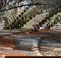 Warrego Floodplain walking track - South Australia Travel
