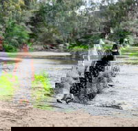 Warrandyte River Reserve - South Australia Travel