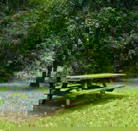 Williams River picnic area - South Australia Travel