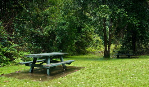 Williams River Picnic Area - South Australia Travel 0