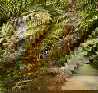 William Ricketts Sanctuary - South Australia Travel