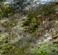 Yarrambat Park - South Australia Travel