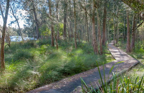 Anabranch Loop Track - South Australia Travel 0