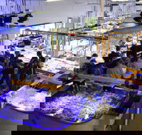 Australian Institute of Marine Science - South Australia Travel