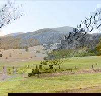 Banimboola Creek Rest Area - South Australia Travel