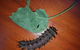 Batchelor Butterfly Farm & Pet Garden - thumb 0