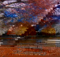 Bells Parade Reserve - South Australia Travel