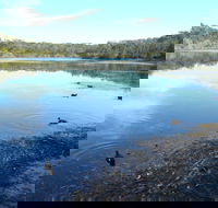Berrara Creek - South Australia Travel