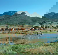 Biggenden - South Australia Travel