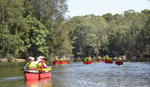 Bonville Creek - South Australia Travel 0