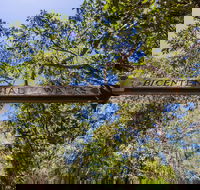 Bribie Island Bicentennial Trails - South Australia Travel