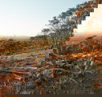 Chick Hill Walk - South Australia Travel