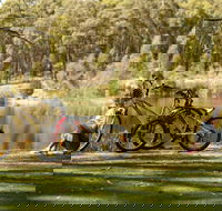 Creswick Regional Park - South Australia Travel
