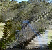Falcon Crescent Link Track - South Australia Travel