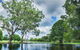 Gold Coast Regional Botanic Gardens - thumb 0