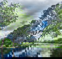 Gold Coast Regional Botanic Gardens - South Australia Travel