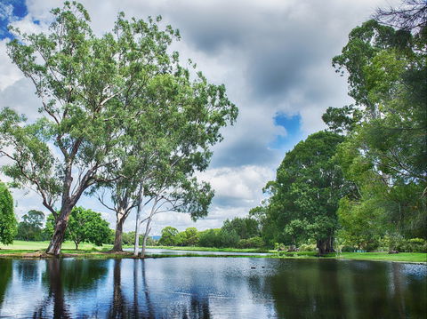 Gold Coast Regional Botanic Gardens - South Australia Travel 0