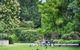 Gold Coast Regional Botanic Gardens - thumb 2