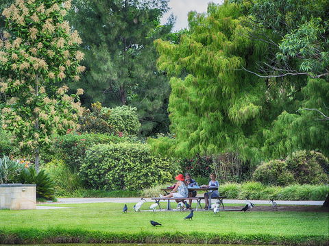 Gold Coast Regional Botanic Gardens - South Australia Travel 2