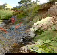 Gold Panning Deep Creek - South Australia Travel