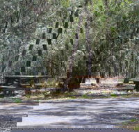 Goonoowigall State Conservation Area - South Australia Travel