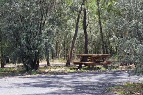 Goonoowigall State Conservation Area - South Australia Travel 0