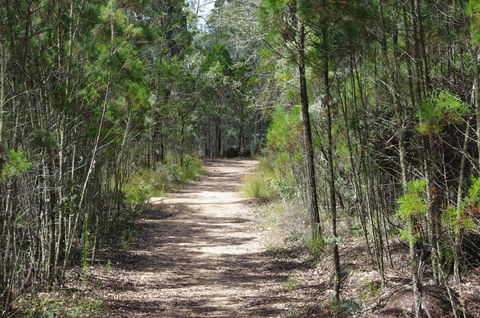 Goonoowigall State Conservation Area - South Australia Travel 1