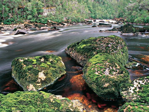 Gordon River - The - South Australia Travel 2