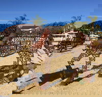 Gundersen Reserve - South Australia Travel