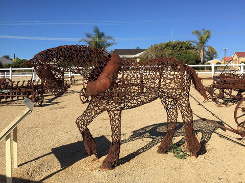 Gundersen Reserve - South Australia Travel 0