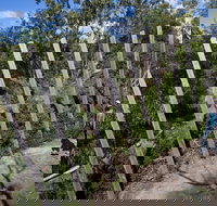 Herring Island Environmental Sculpture Park - South Australia Travel