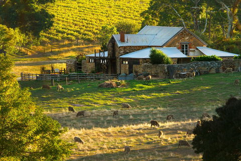 Hutton Vale Farm - South Australia Travel 1