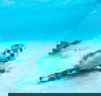 Jurien Bay - South Australia Travel